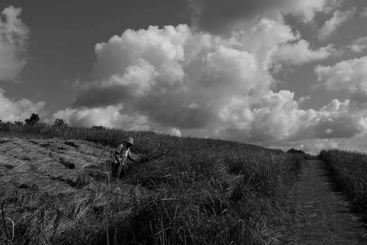 bali photography portfolio for freelance photographer mark l chaves