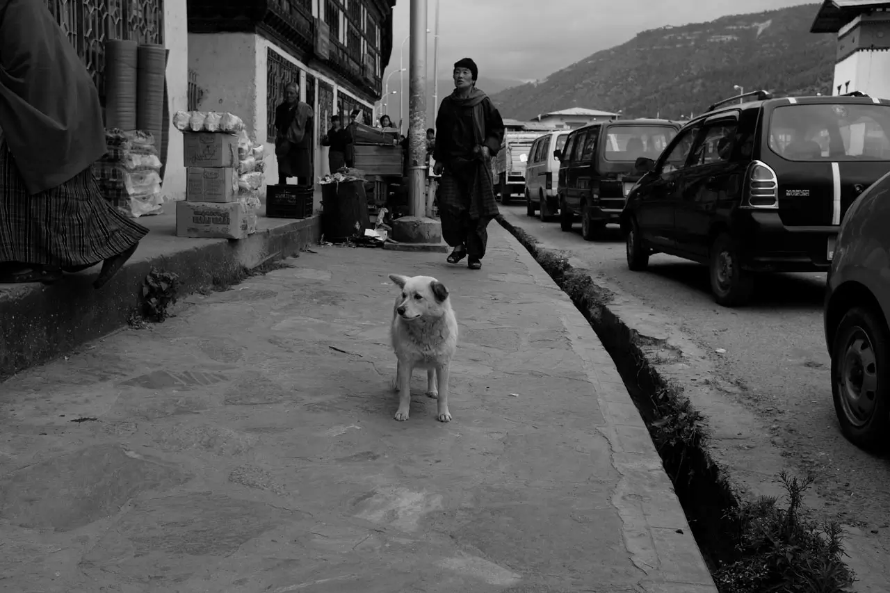 bhutan photography portfolio for freelance photographer mark l chaves
