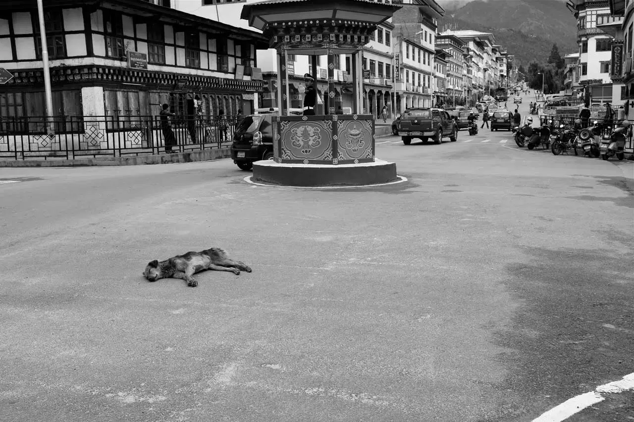 bhutan photography portfolio for freelance photographer mark l chaves