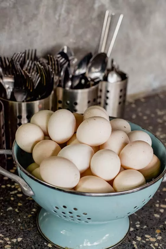 Firefly Eco Lodge Interior Photography