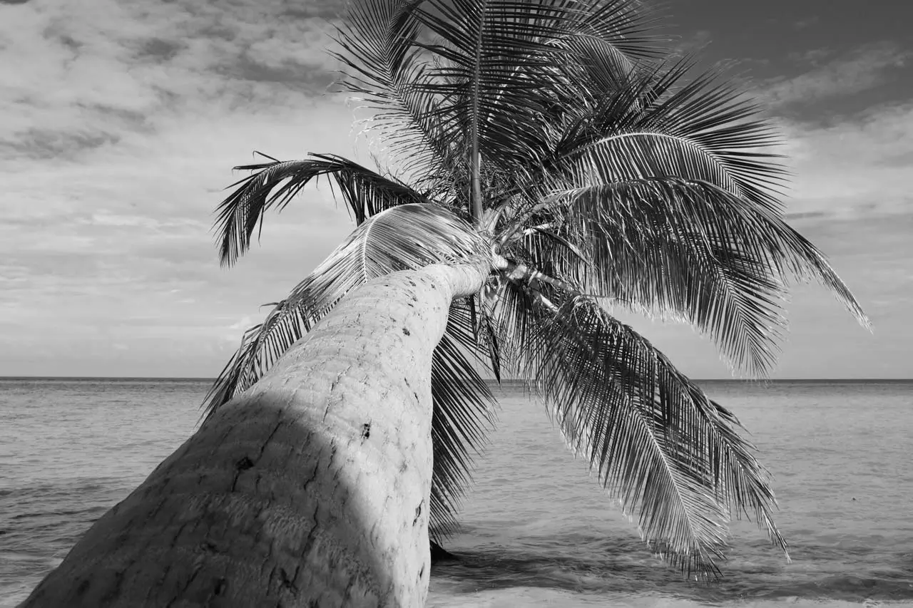 maldives by freelance photographer mark l chaves