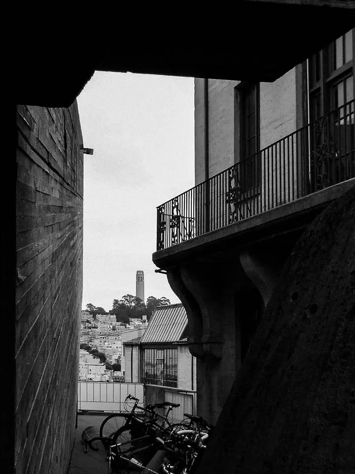 coit tower from sfai on russian hill.