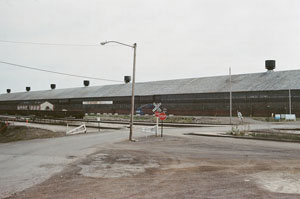 y-town is my town. now people just call it yo.